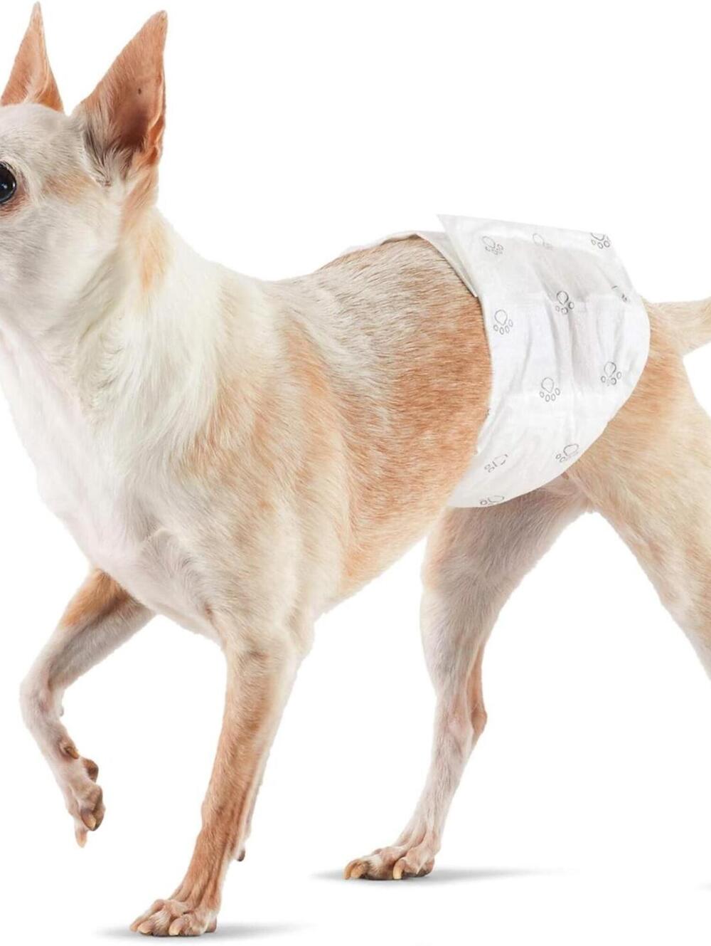 NIB Male Dog Wrap/Disposable Diapers 30 Count White Extra Small